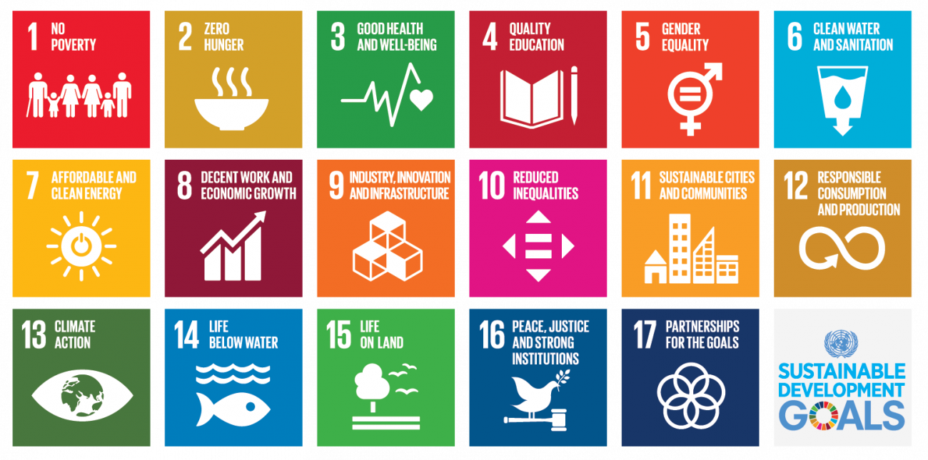 picture of sustainable development goals