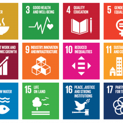 picture of sustainable development goals