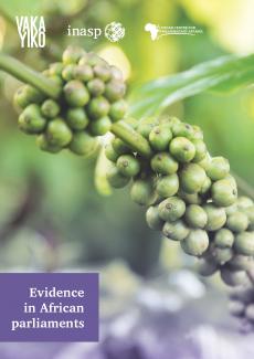 Evidence in parliaments report image Thumbnail